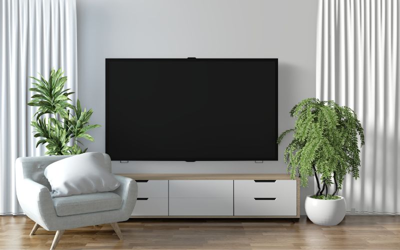 50-inch TV in living room